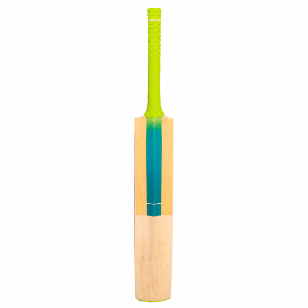 Junior cricket bat