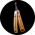 Hard tennis cricket bat