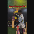 RK Sports Game changer Hard tennis Cricket Bat