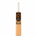 Rk sports Icon Edition Black Sprayed Hard Tennis Cricket Bat